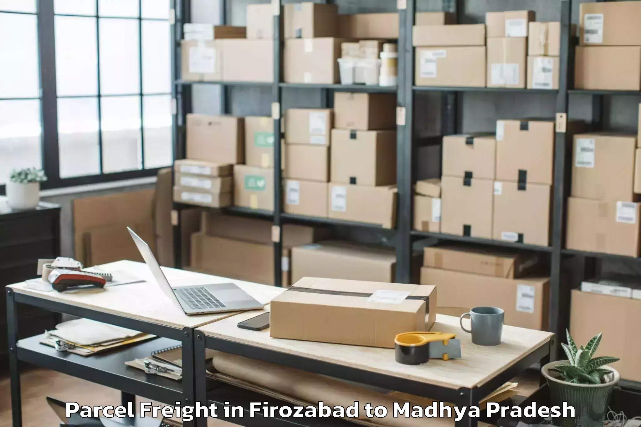 Top Firozabad to Badnagar Parcel Freight Available